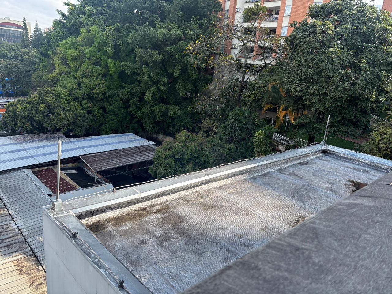 WhatsApp Image 2026-03-10 at 2.52.48 PM